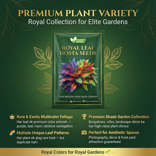 Royal Leaf Hosta Seeds